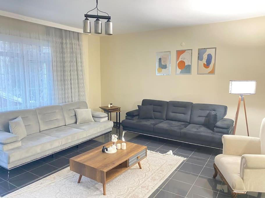 伊斯坦布尔Comfy - Spacious Flat On The Kadikoey Seaside公寓 外观 照片